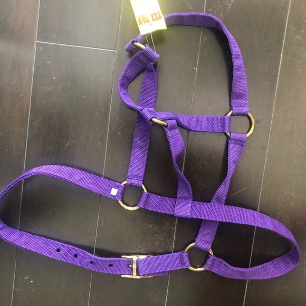 Horse halter NWT